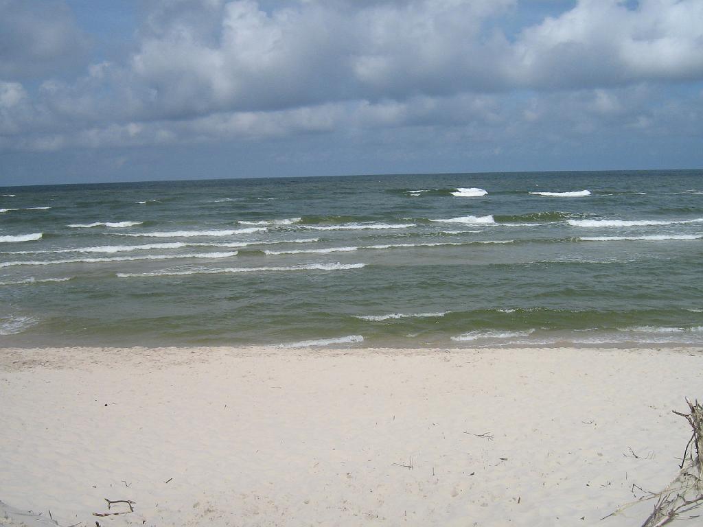 IMG_5995.jpg