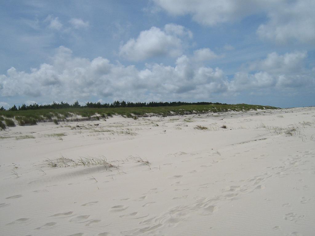 IMG_6052.jpg