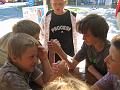 IMG_5958