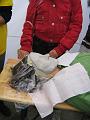 IMG_6354