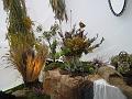 IMG_6363