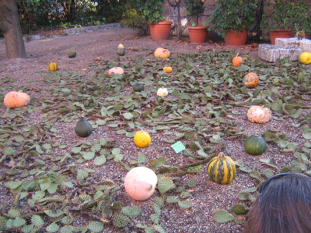 IMG_6528.jpg