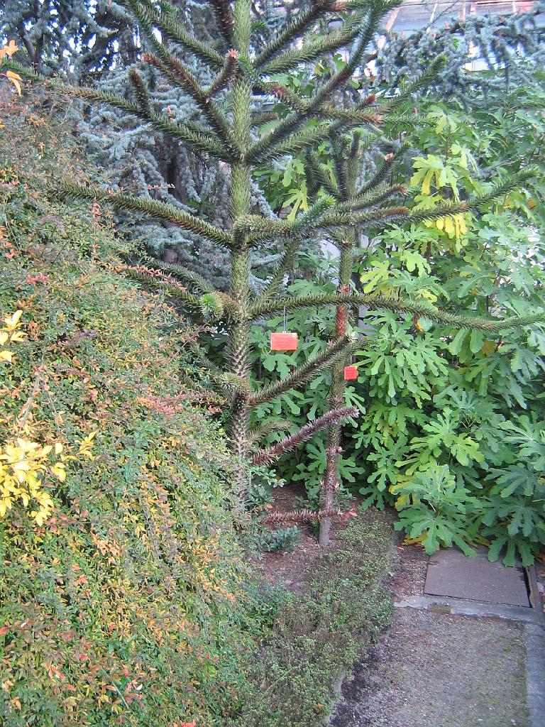 IMG_6537.jpg