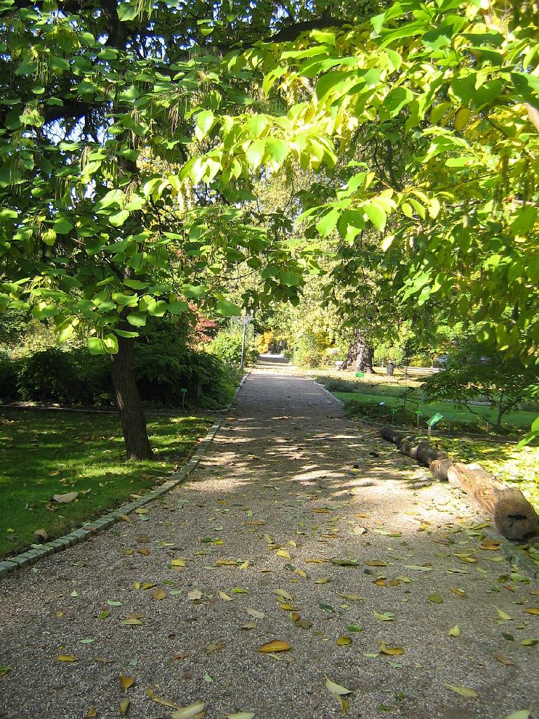 IMG_6544.jpg