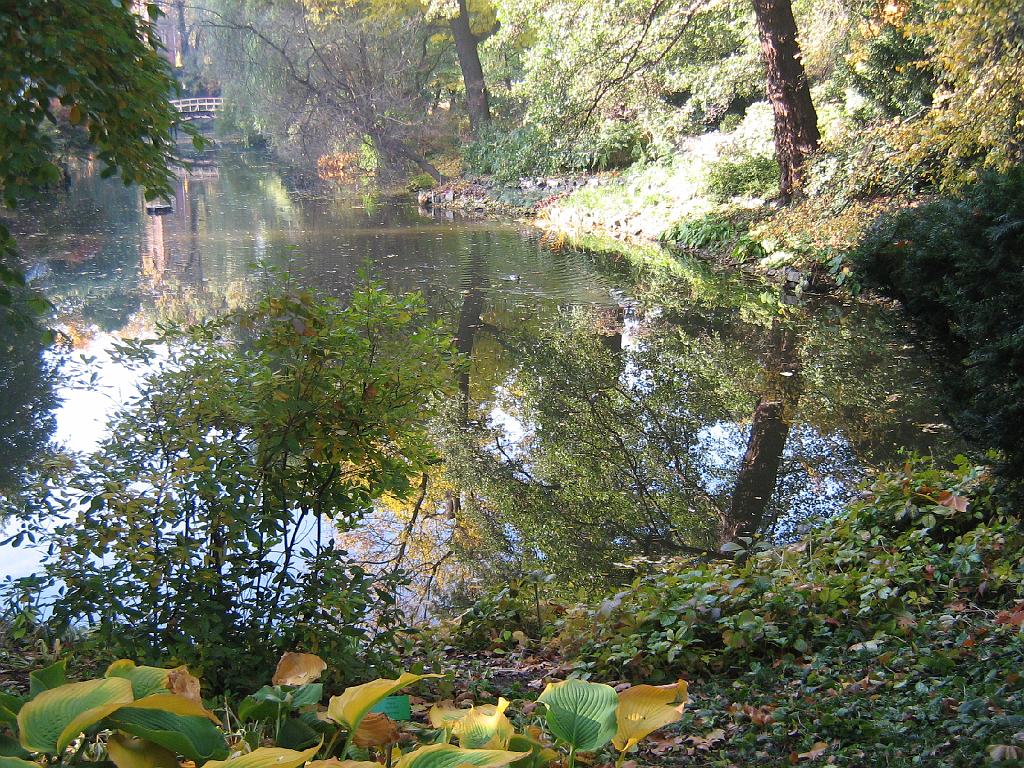 IMG_6548.jpg