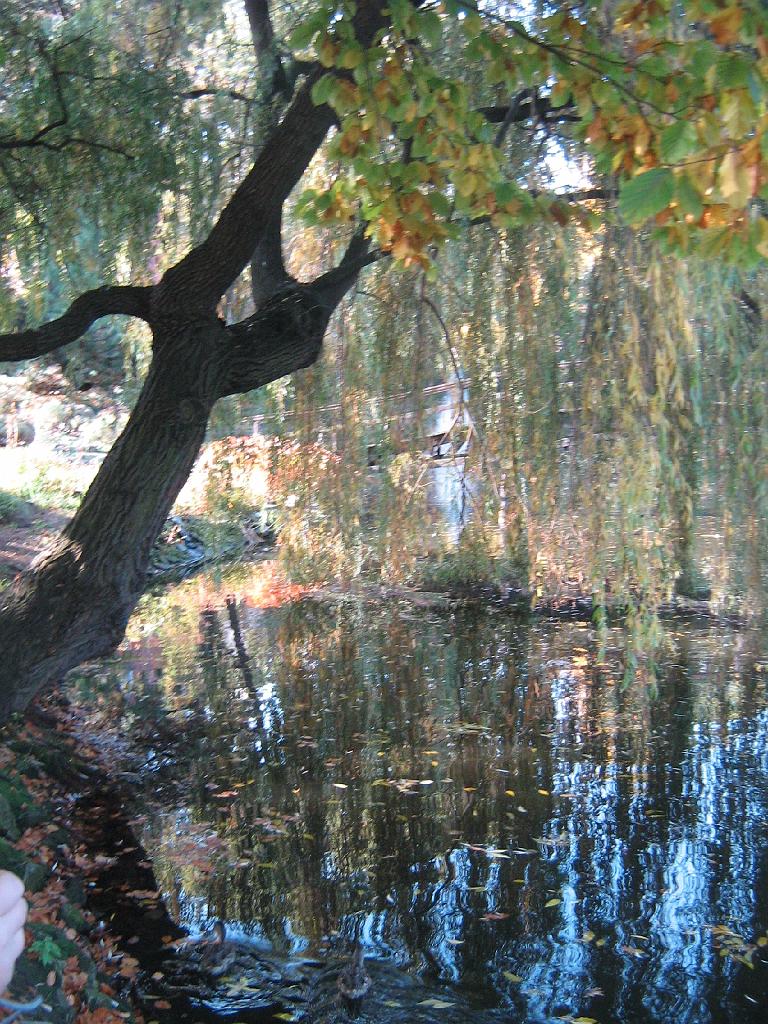 IMG_6556.jpg