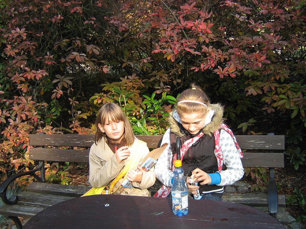 IMG_6577.jpg