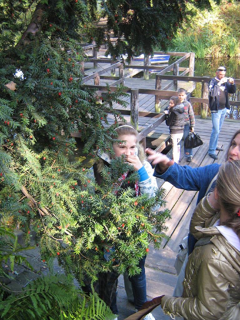 IMG_6589.jpg