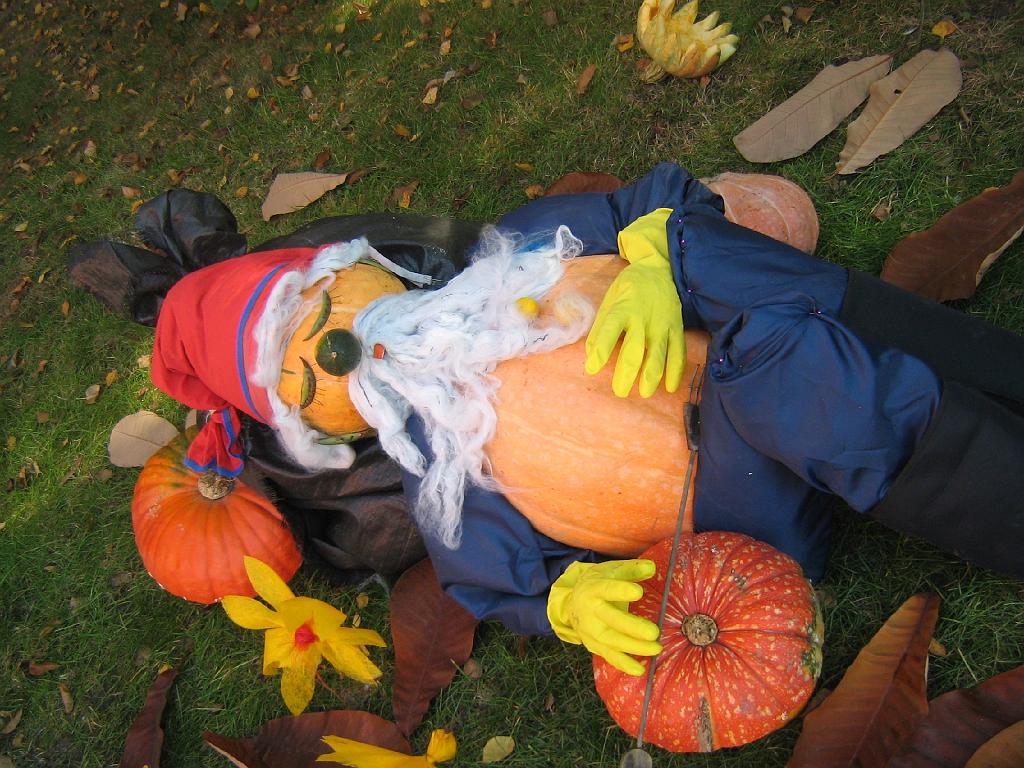 IMG_6622.jpg