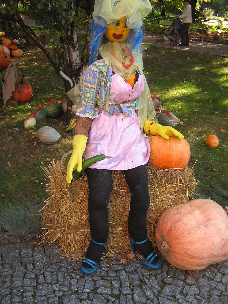 IMG_6623.jpg