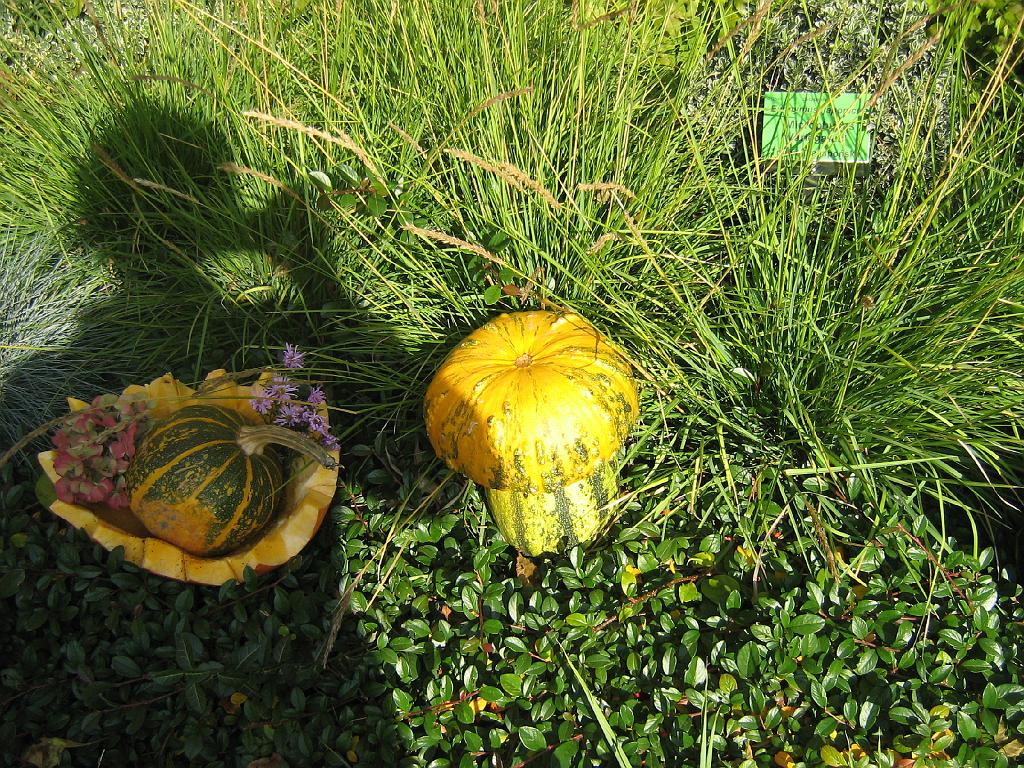 IMG_6624.jpg
