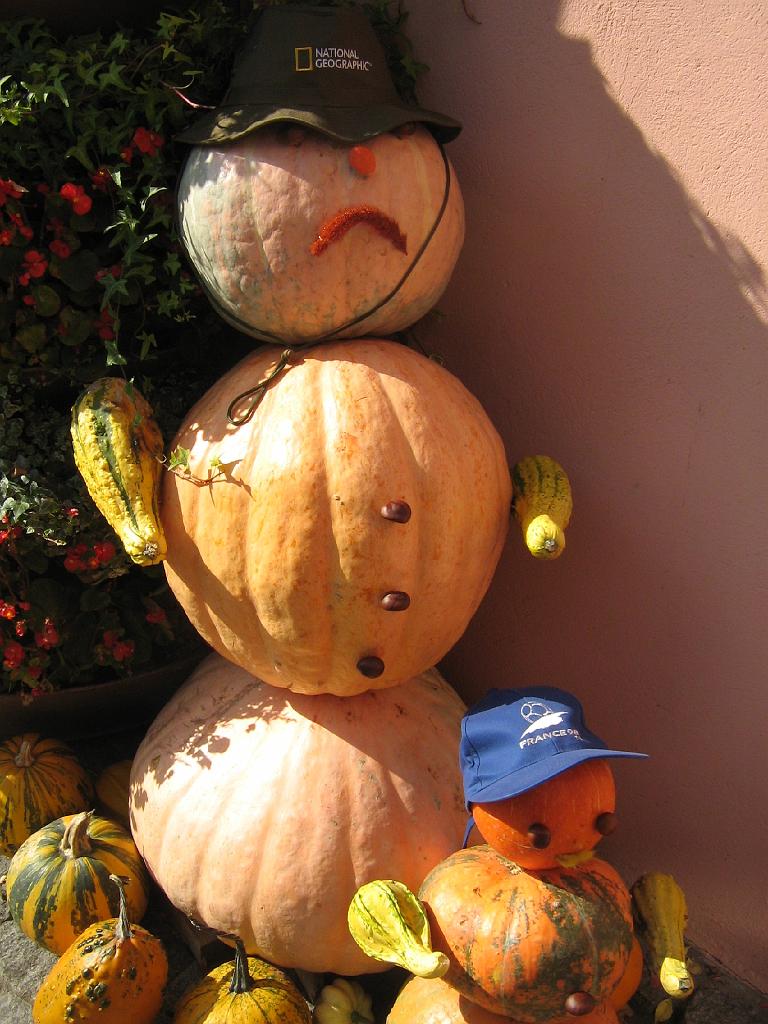 IMG_6625.jpg