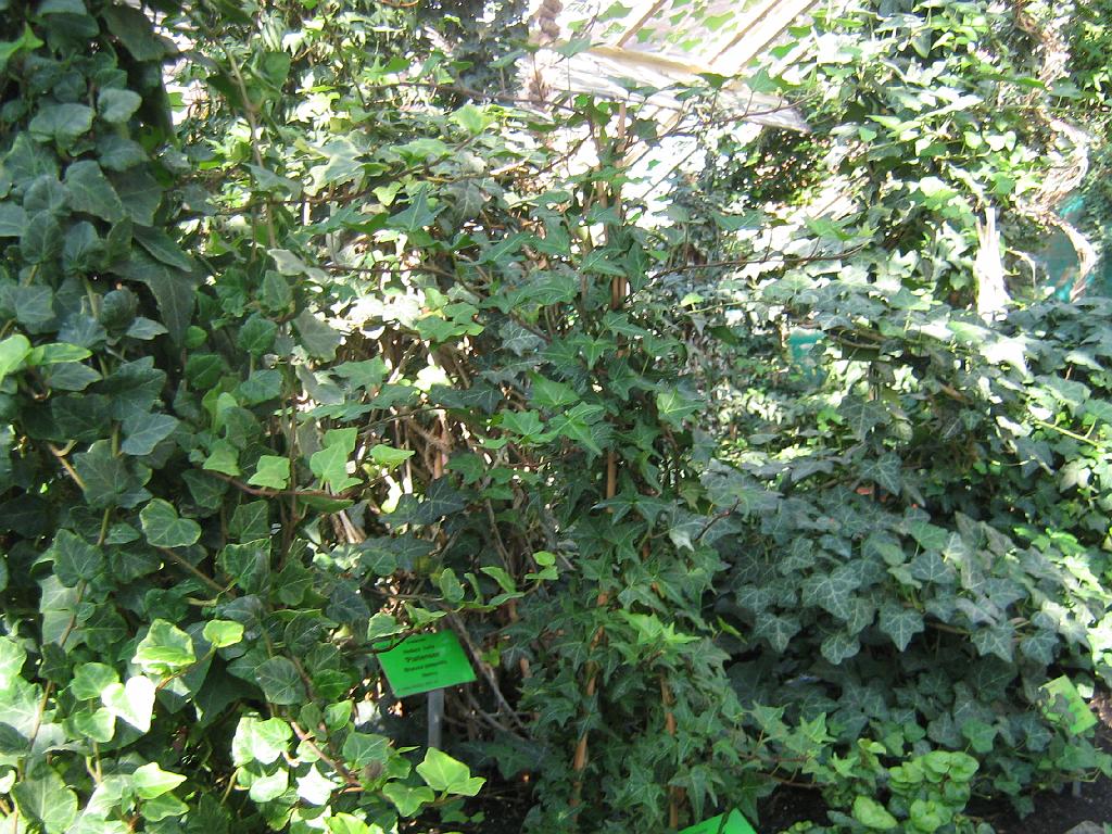 IMG_6633.jpg