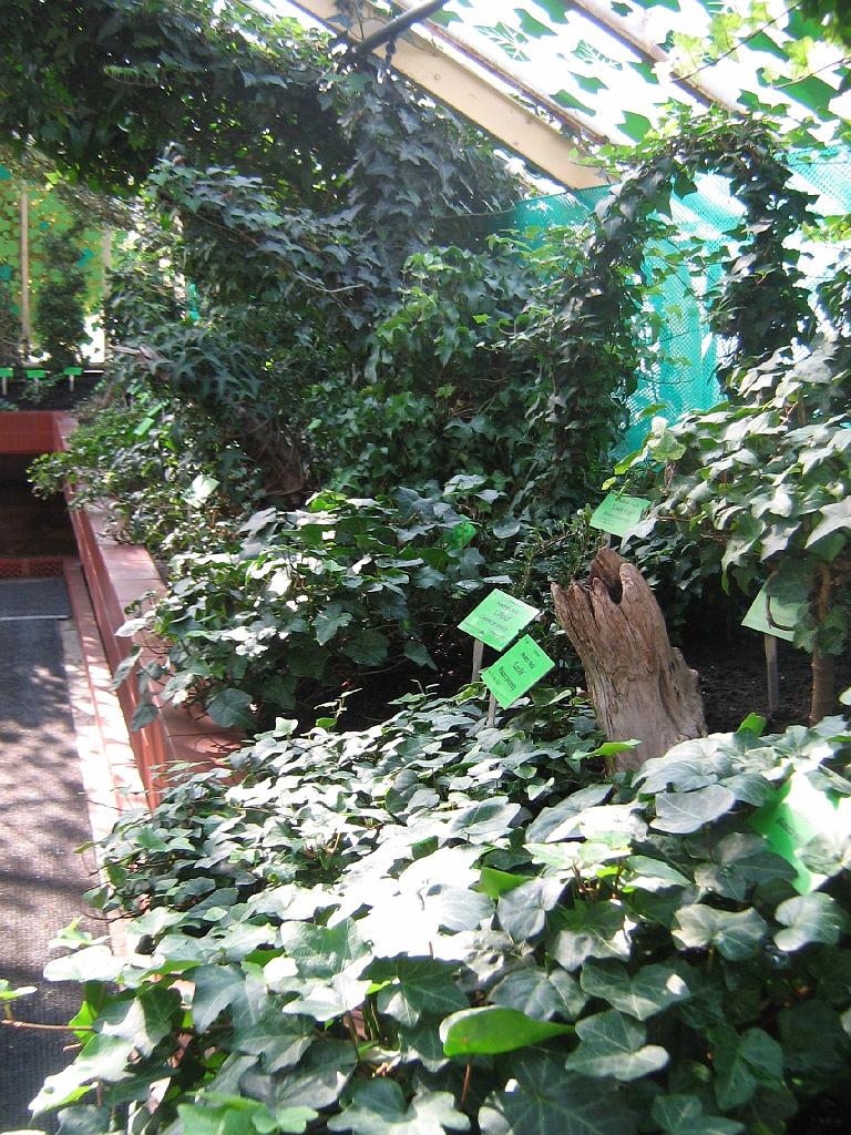 IMG_6636.jpg