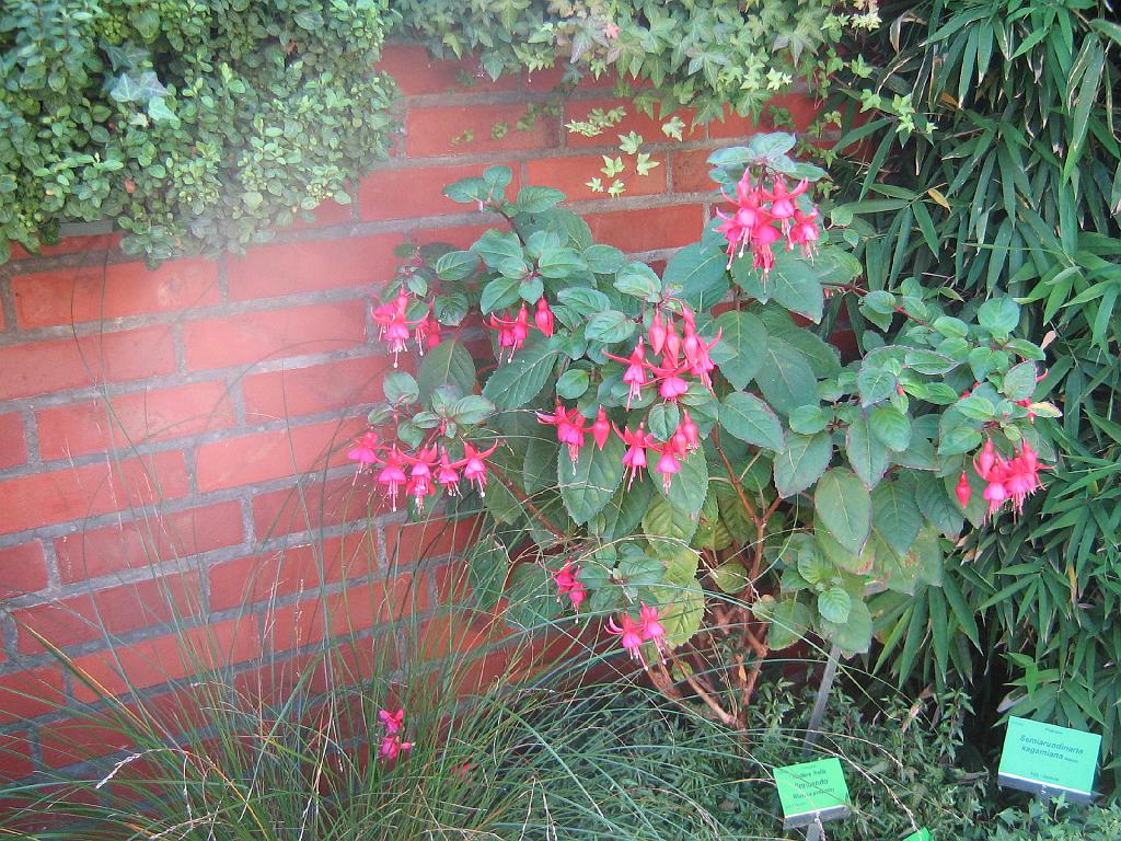 IMG_6638.jpg