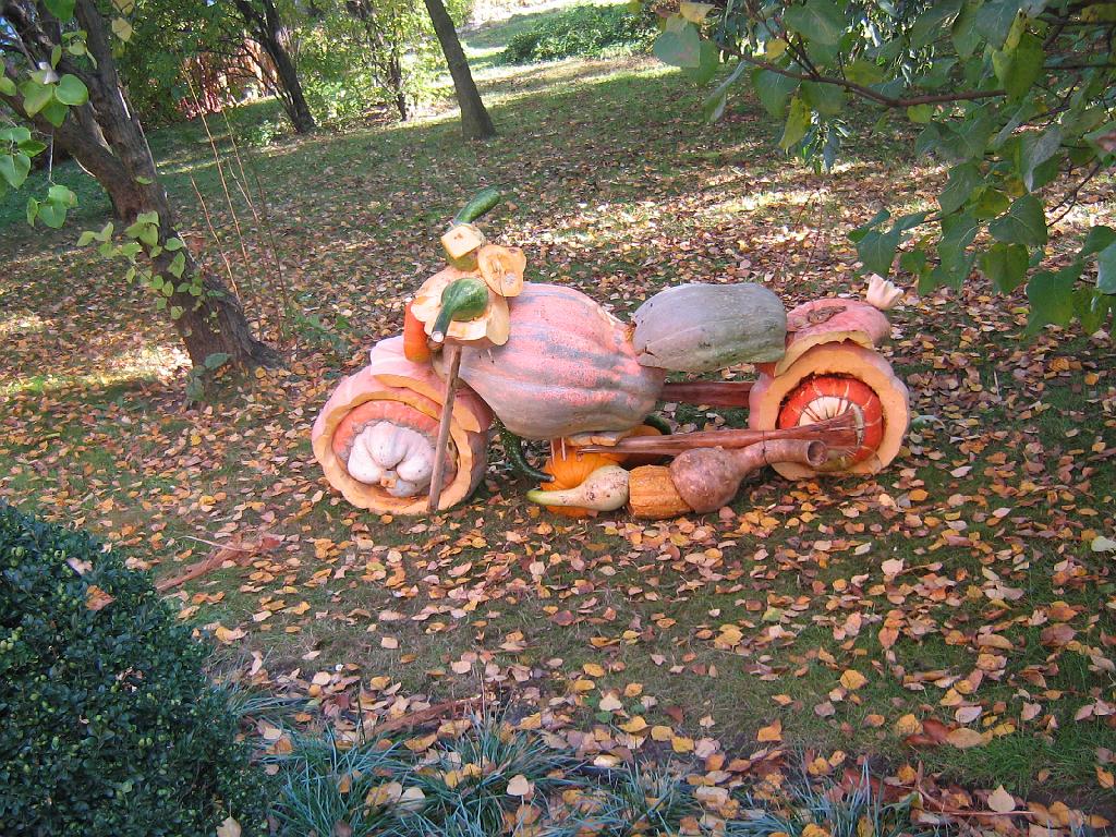 IMG_6643.jpg