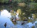 IMG_6554