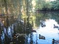 IMG_6555