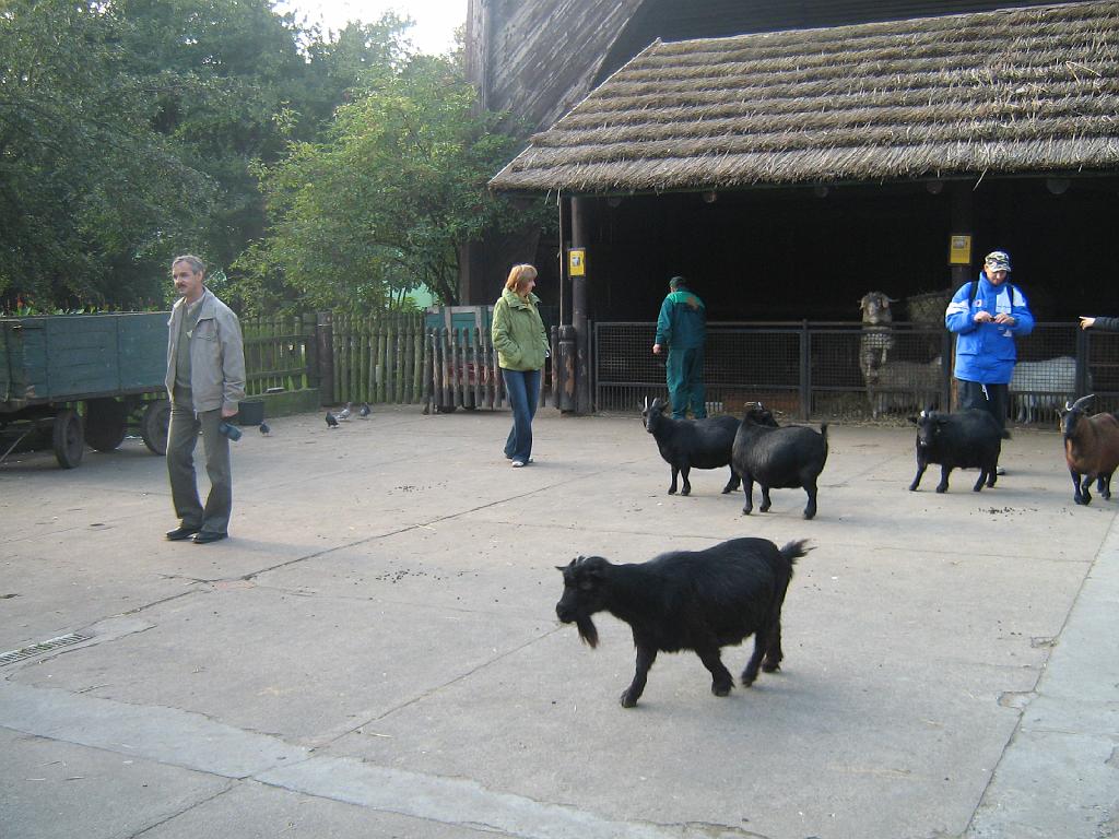 IMG_6403.jpg