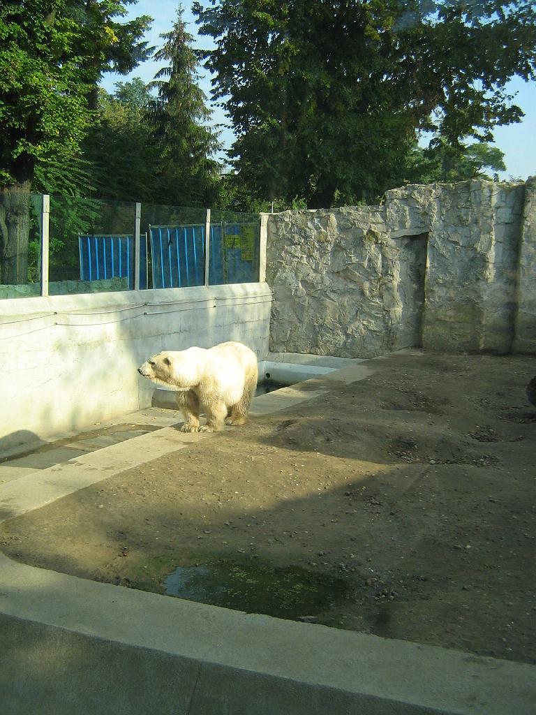 IMG_6417.jpg