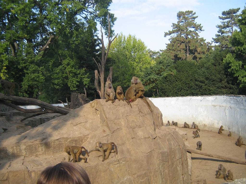IMG_6420.jpg