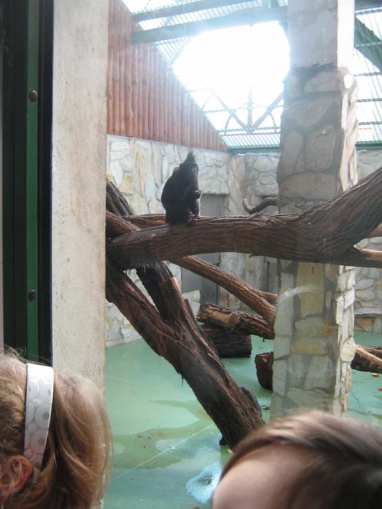 IMG_6427.jpg