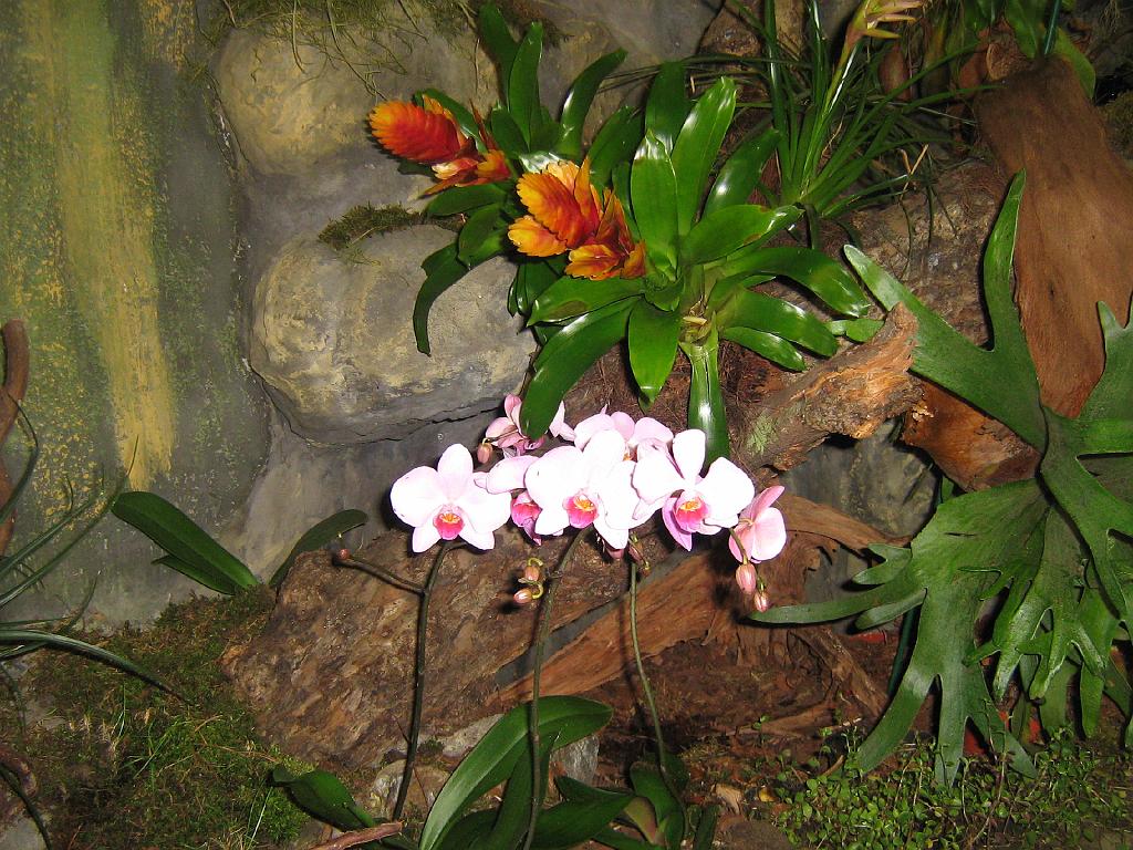 IMG_6451.jpg