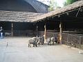 IMG_6402