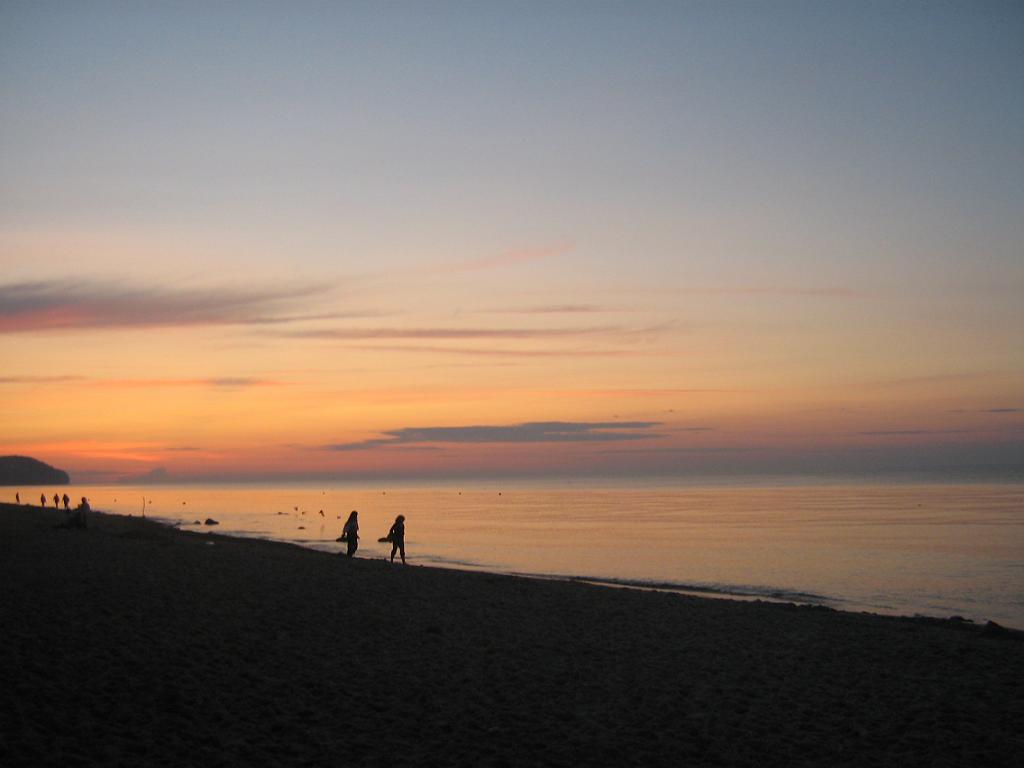 IMG_8261.jpg