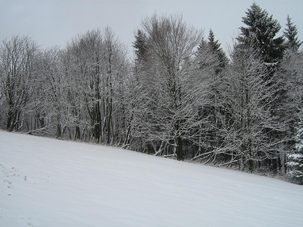 IMG_6867.JPG