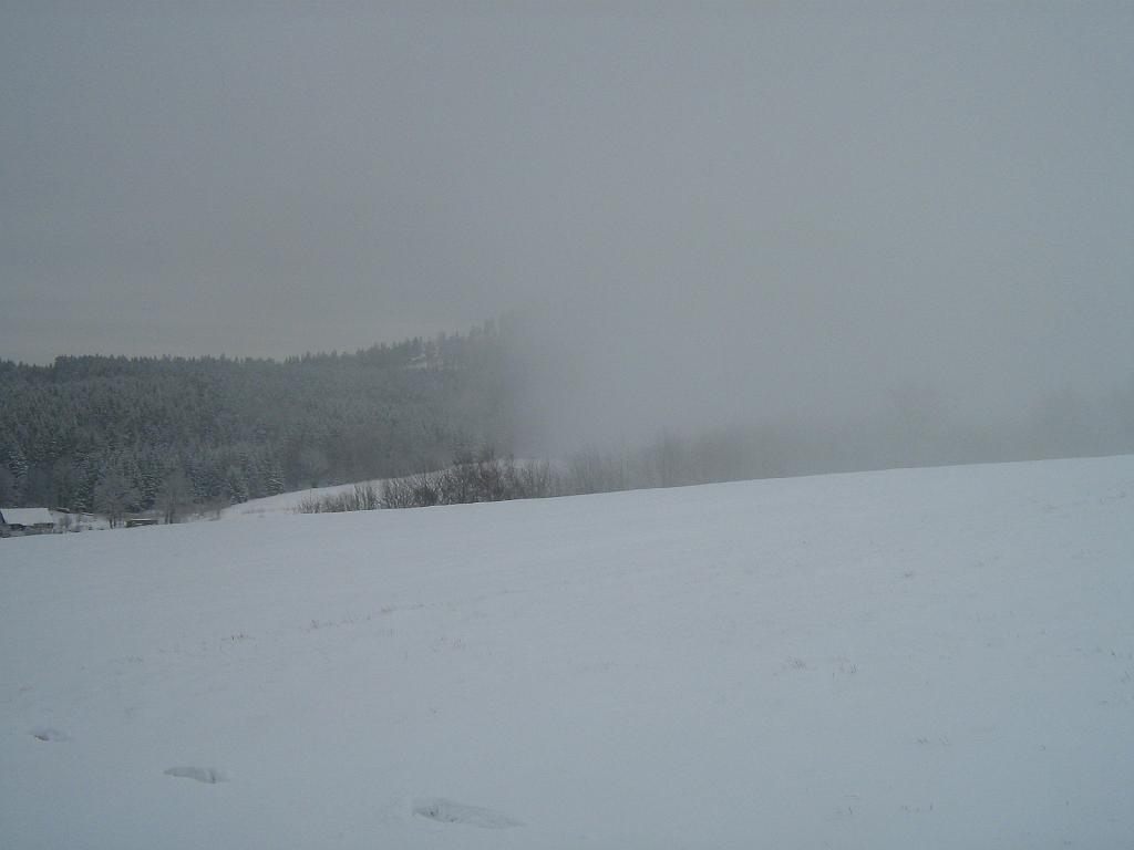 IMG_6881.JPG