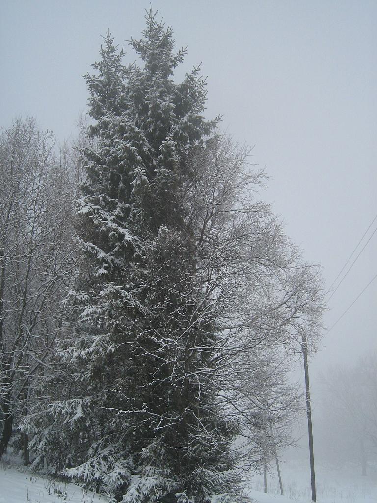 IMG_6919.JPG