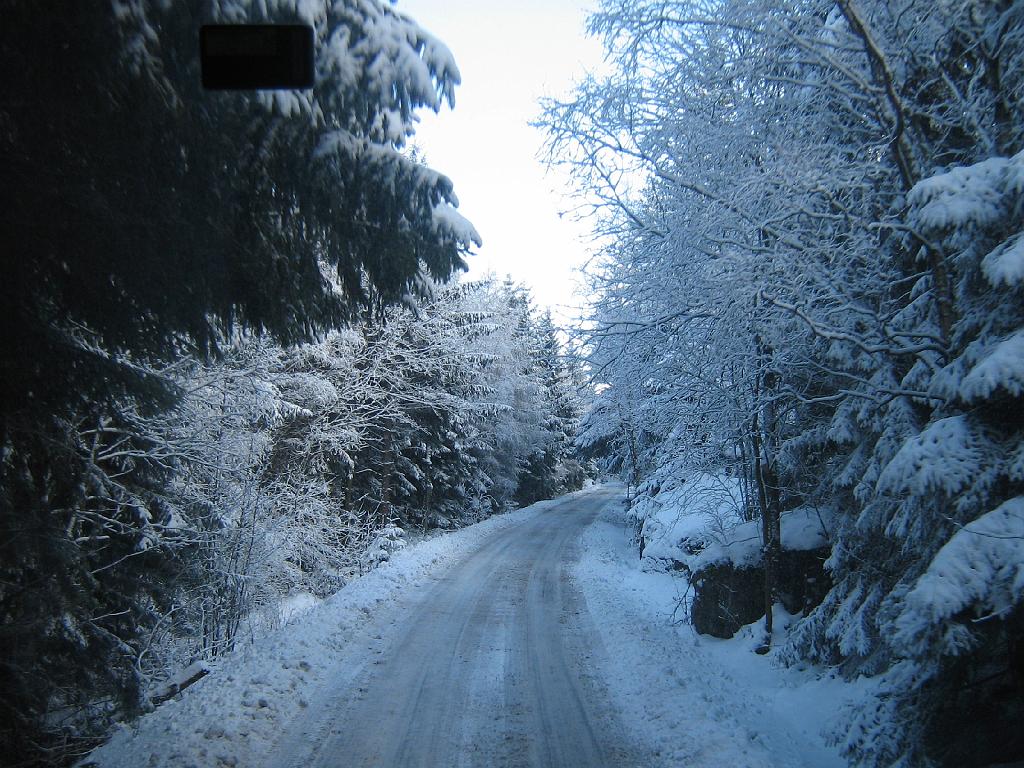 IMG_7057.JPG