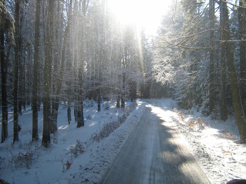 IMG_7068.JPG