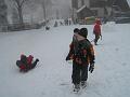 IMG_6962