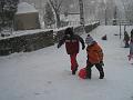 IMG_6973