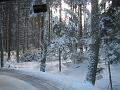 IMG_7082
