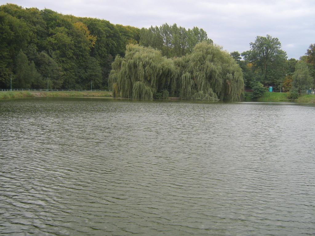 IMG_8730.jpg