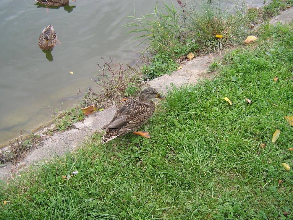IMG_8734.jpg