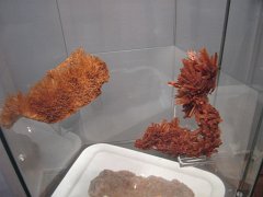 IMG_8902