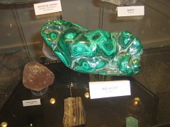 IMG_8917