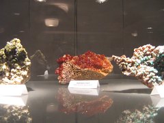 IMG_8919