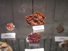 IMG_8922