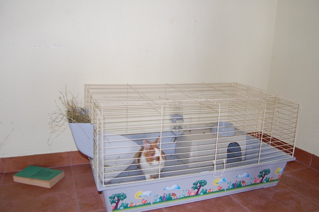 DSC_1443.JPG