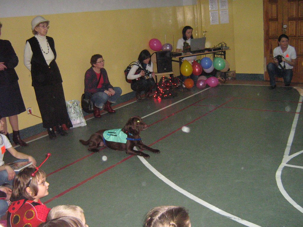 IMG_9037.jpg