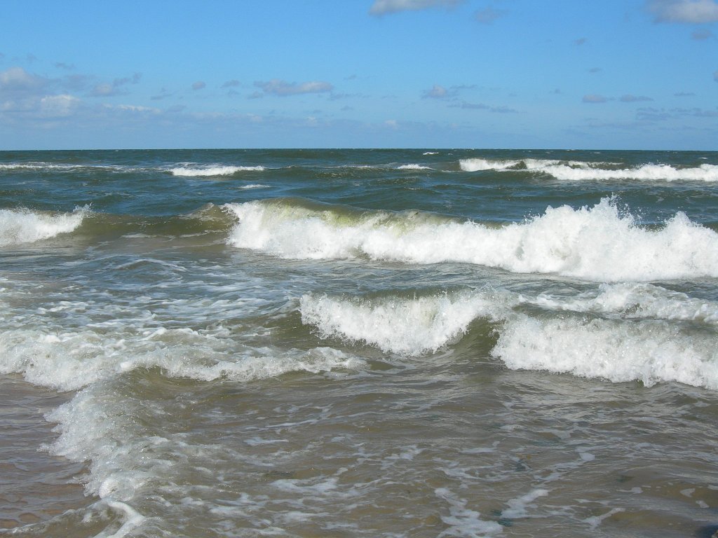 DSCN4041.JPG