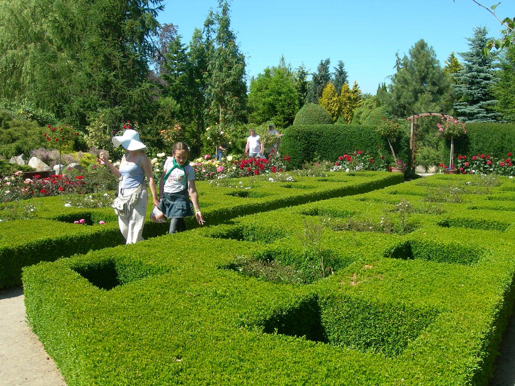 DSCN4281.JPG