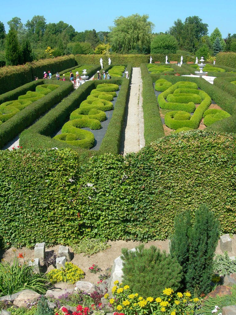 DSCN4303.JPG