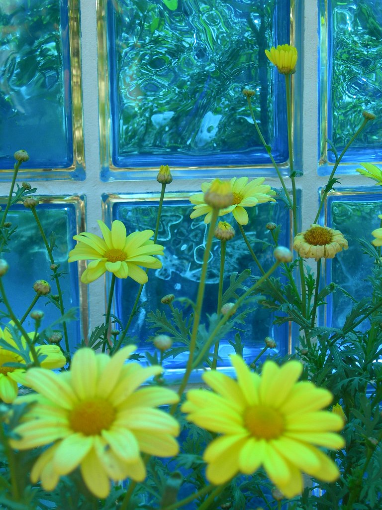 DSCN4347.JPG