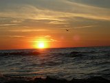 DSCN3726
